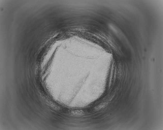 X0000084000355200703161654
