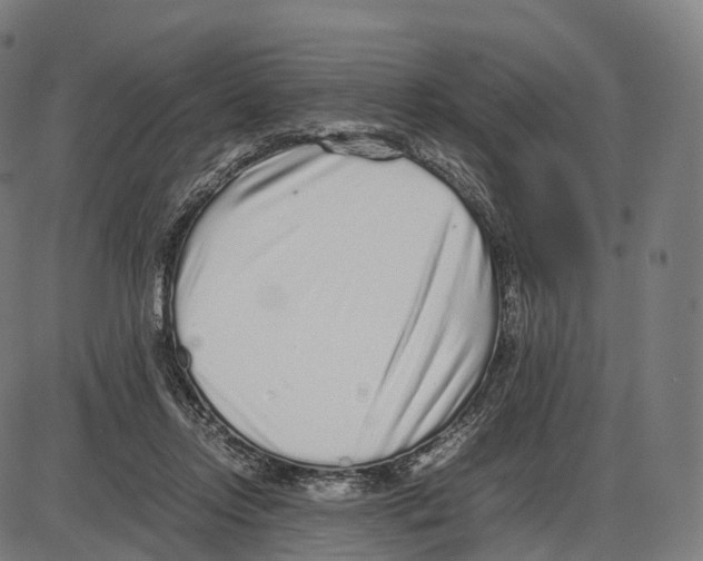 X0000084000358200703161654
