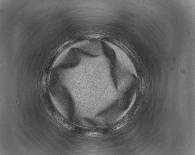 X0000084000360200703161654