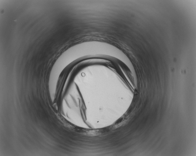 X0000084000382200703161654