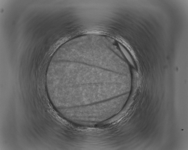 X0000084000385200703161654