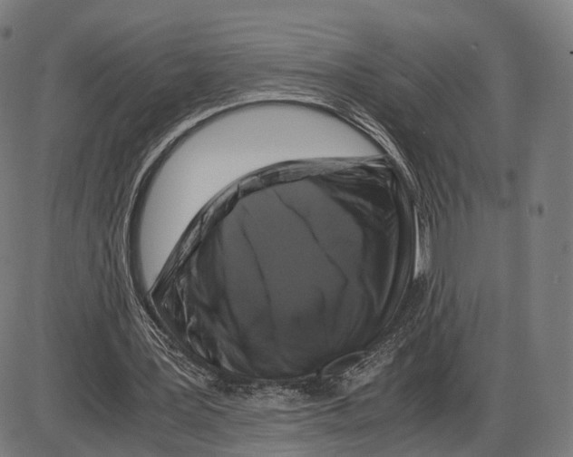 X0000084000387200703161654