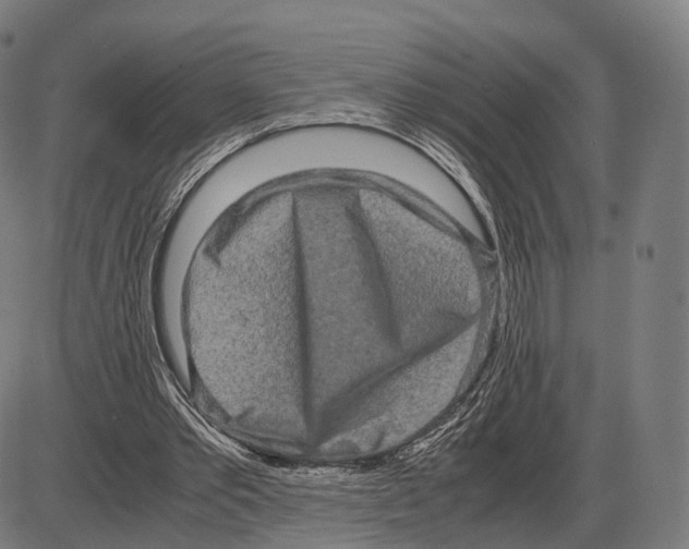 X0000084000389200703161654