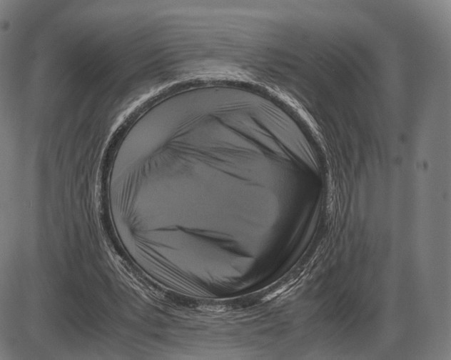 X0000084000391200703161654