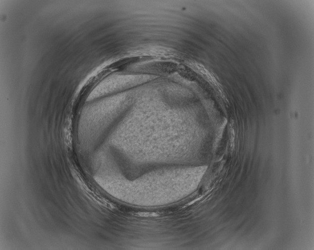 X0000084000392200703161654