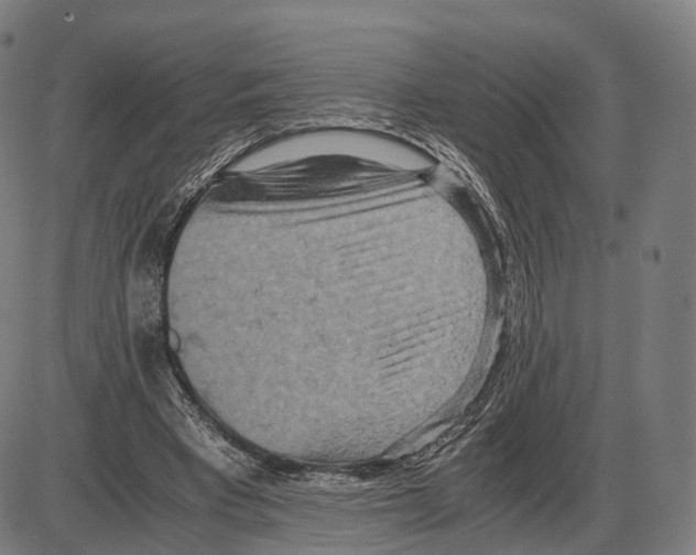 X0000084000393200703161654