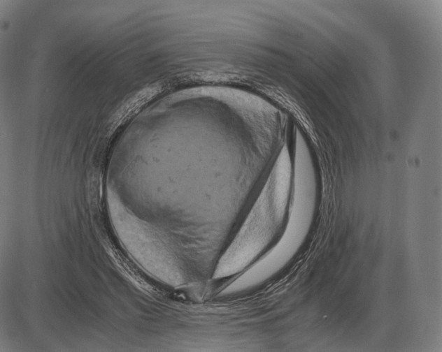 X0000084000397200703161653