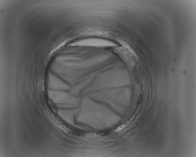 X0000084000399200703161653