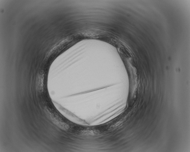 X0000084000404200703161653