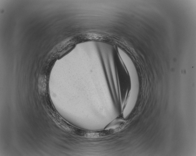 X0000084000413200703161653