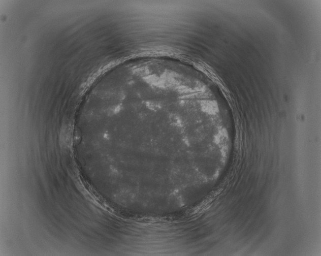 X0000084000434200703161652