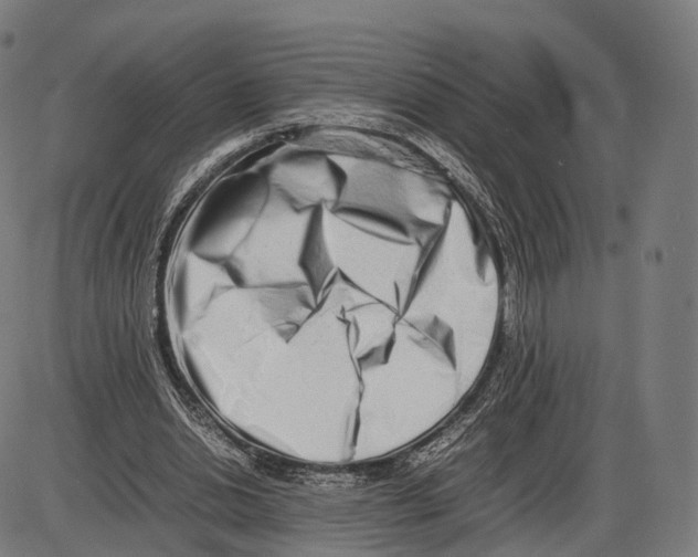 X0000084000438200703161652