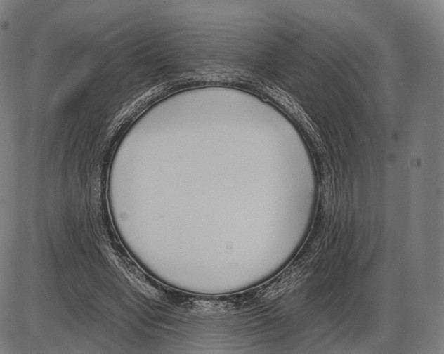 X0000084000442200703161652