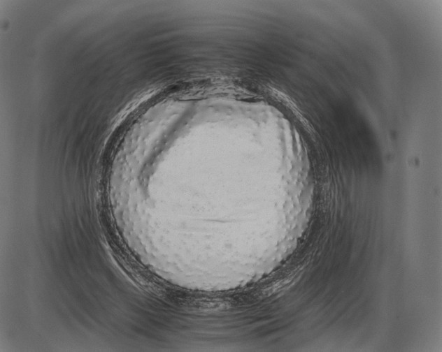 X0000084000443200703161652