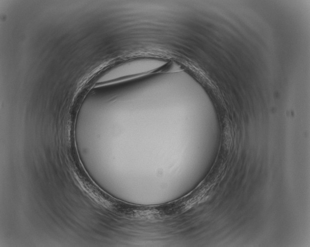 X0000084000446200703161652