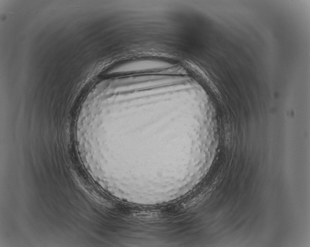 X0000084000447200703161652