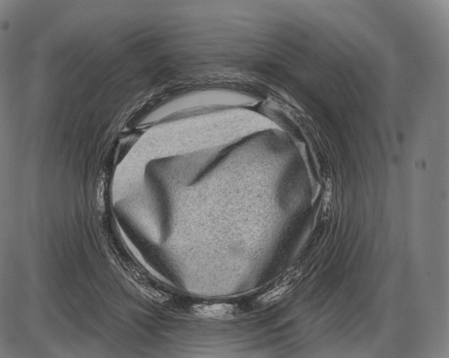 X0000084000452200703161652