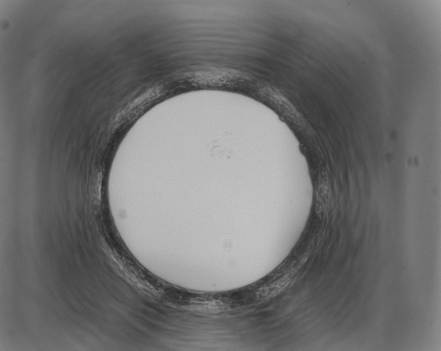 X0000084000454200703161652