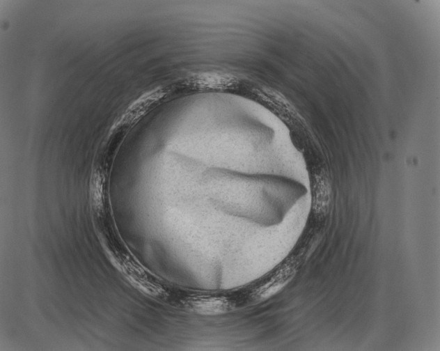 X0000084000456200703161652