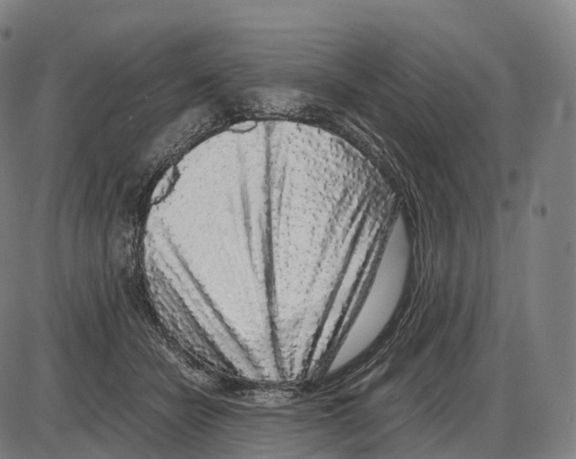 X0000084000462200703161653