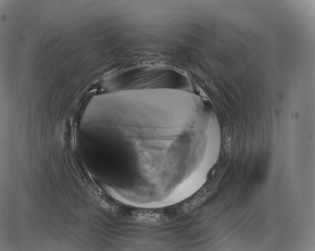 X0000084000471200703161653
