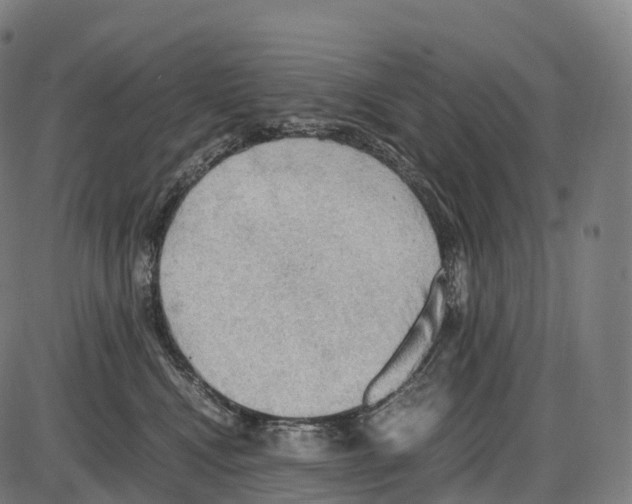 X0000084000472200703161653