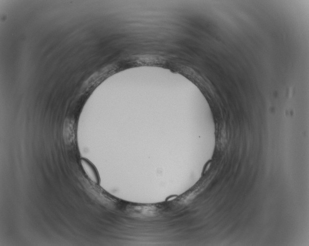 X0000084000478200703161653