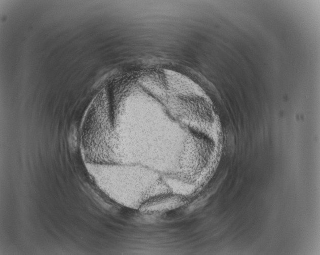 X0000084000479200703161653