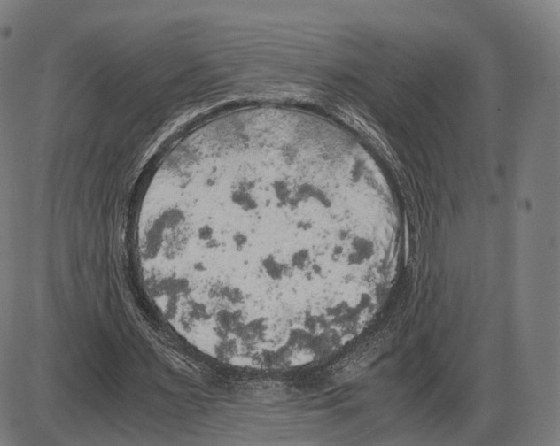 X0000084000483200703161652