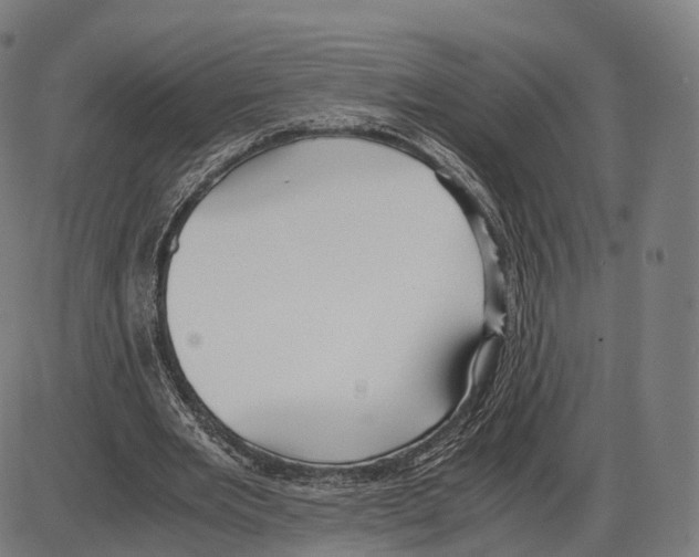 X0000084000485200703161652