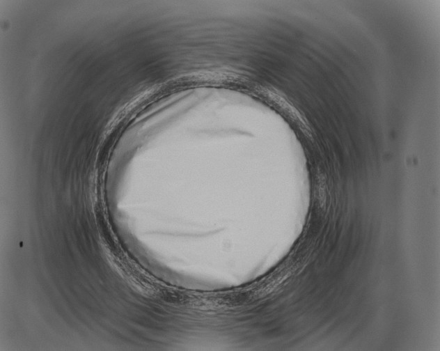 X0000084000486200703161652