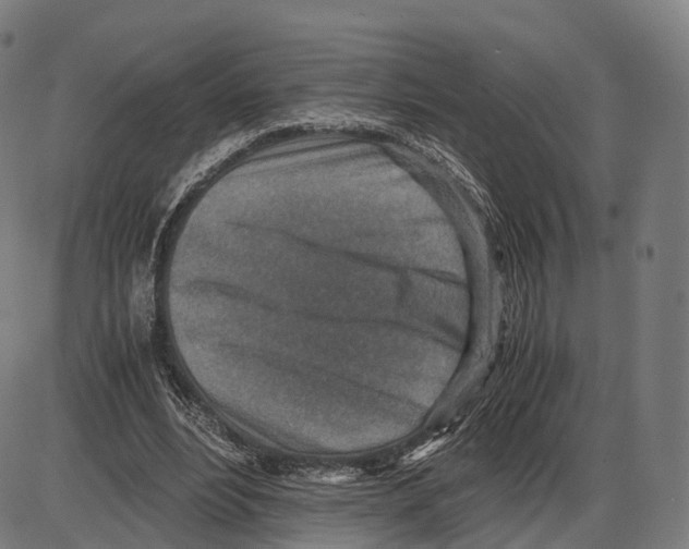 X0000084000488200703161652