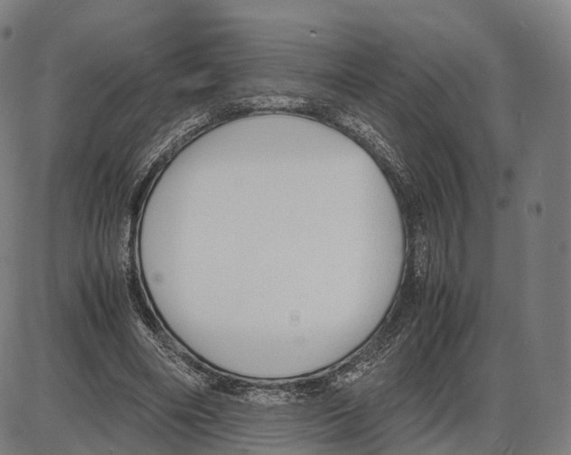 X0000084000490200703161652