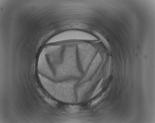 X0000084000493200703161652
