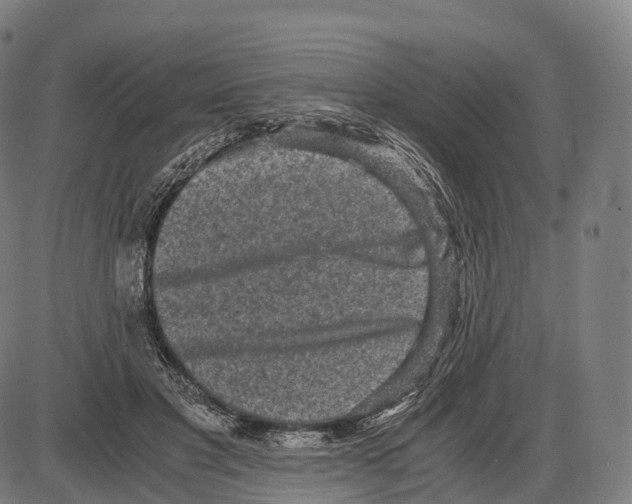 X0000084000501200703161652