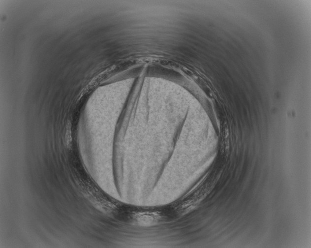 X0000084000508200703161652