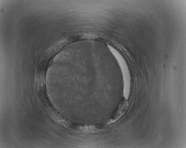 X0000084000517200703161651