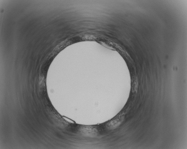 X0000084000521200703161651