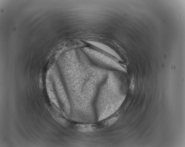 X0000084000524200703161651