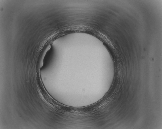 X0000084000538200703161651