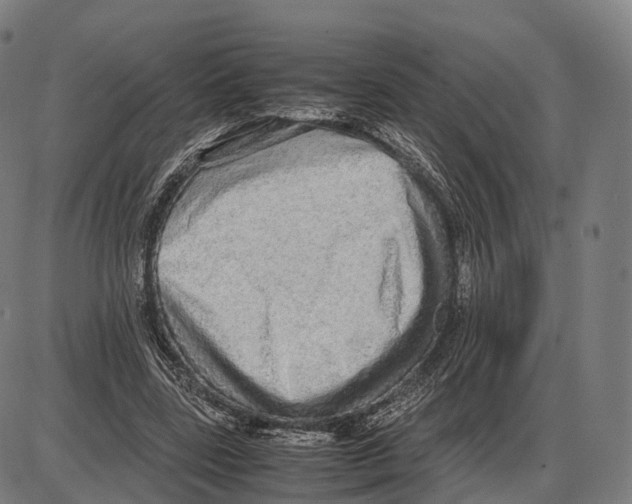 X0000084000539200703161651