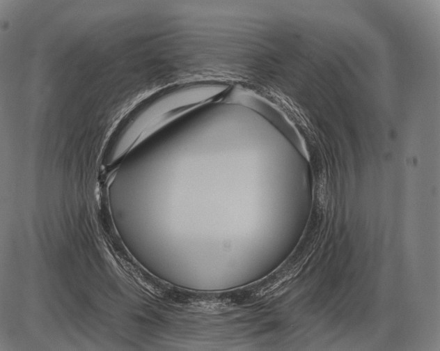 X0000084000540200703161651