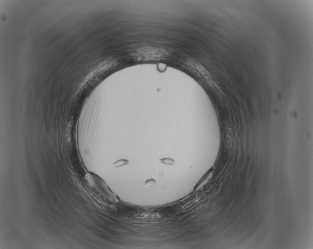 X0000084000543200703161651