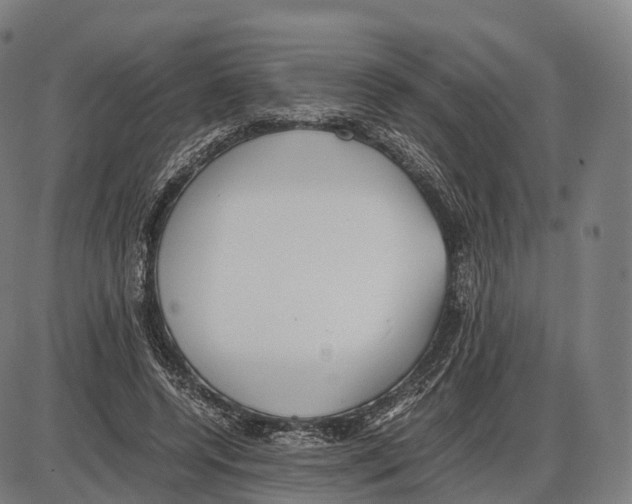 X0000084000544200703161651