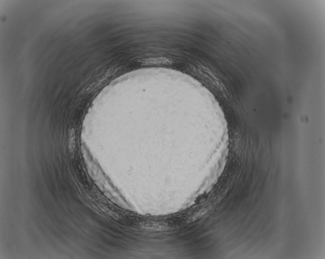 X0000084000549200703161651