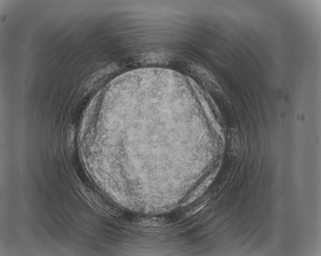 X0000084000550200703161651