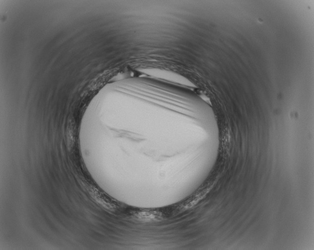 X0000084000566200703161651