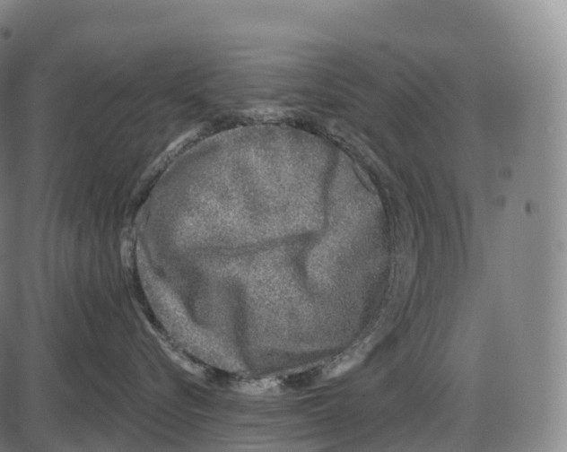 X0000084000576200703161651