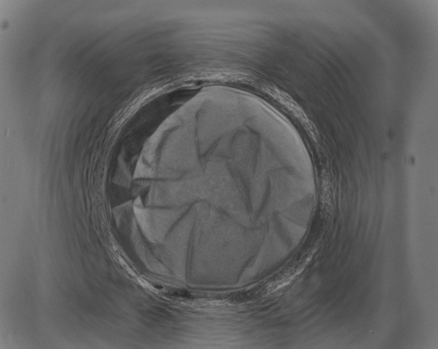 X0000084000577200703161650