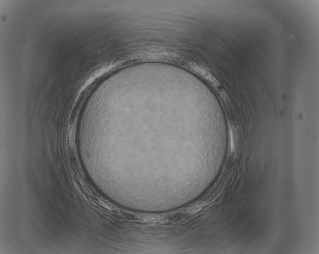 X0000084000579200703161650
